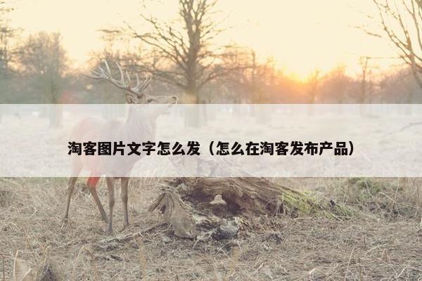淘客图片文字怎么发（怎么在淘客发布产品）