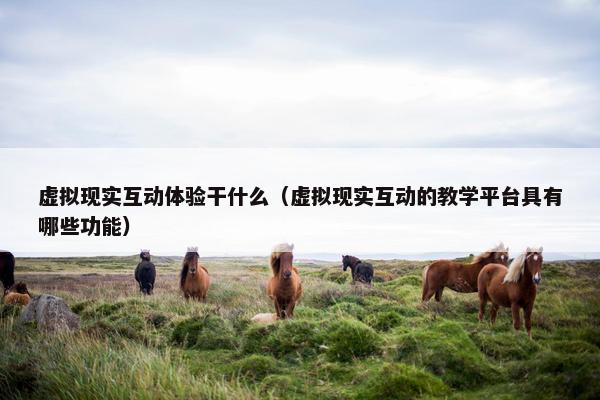 虚拟现实互动体验干什么（虚拟现实互动的教学平台具有哪些功能）