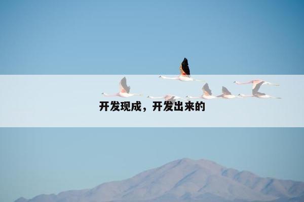 开发现成，开发出来的