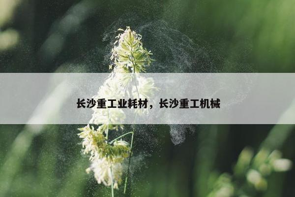 长沙重工业耗材，长沙重工机械