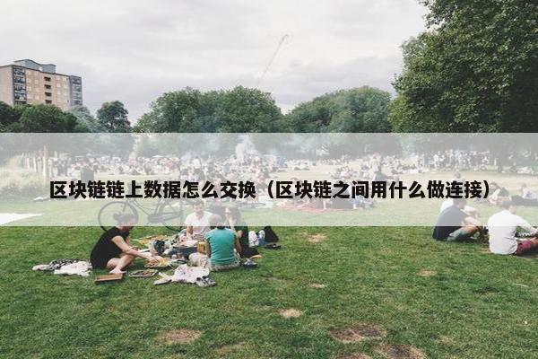 区块链链上数据怎么交换（区块链之间用什么做连接）
