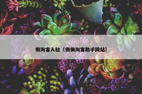 懒淘客入驻（懒懒淘客助手网站）