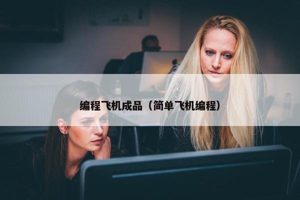 编程飞机成品（简单飞机编程）