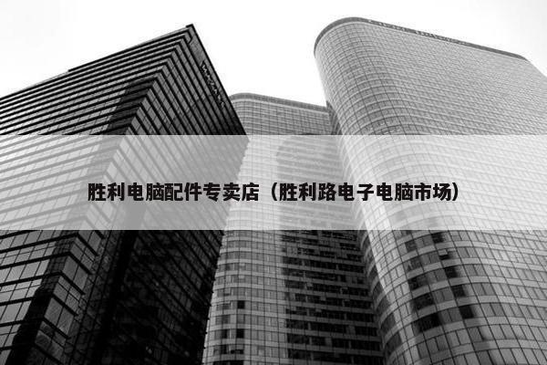 胜利电脑配件专卖店（胜利路电子电脑市场）