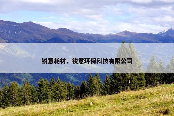 锐意耗材，锐意环保科技有限公司
