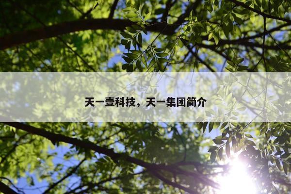 天一壹科技，天一集团简介