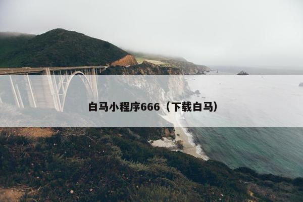 白马小程序666（下载白马）