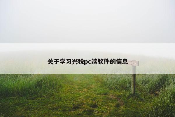 关于学习兴税pc端软件的信息