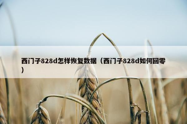 西门子828d怎样恢复数据（西门子828d如何回零）