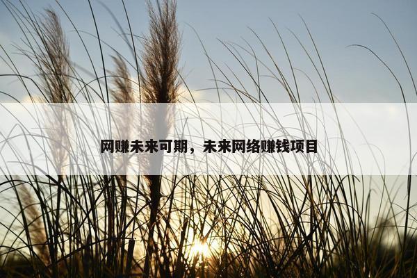 网赚未来可期，未来网络赚钱项目