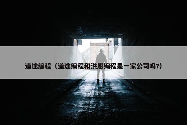 道途编程（道途编程和洪恩编程是一家公司吗?）