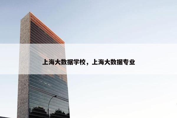 上海大数据学校，上海大数据专业