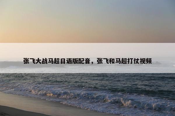 张飞大战马超日语版配音，张飞和马超打仗视频
