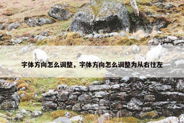 字体方向怎么调整，字体方向怎么调整为从右往左