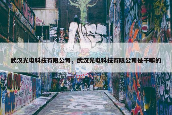 武汉光电科技有限公司，武汉光电科技有限公司是干嘛的
