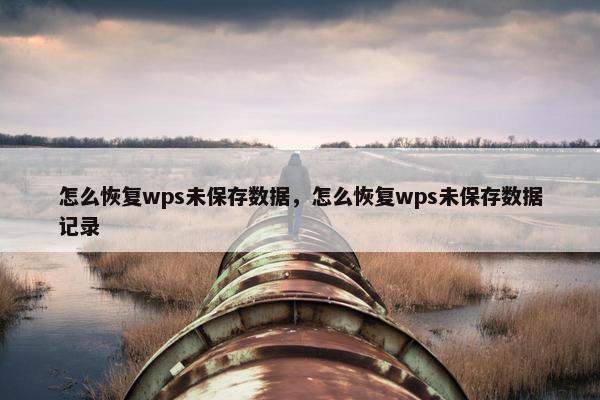 怎么恢复wps未保存数据，怎么恢复wps未保存数据记录