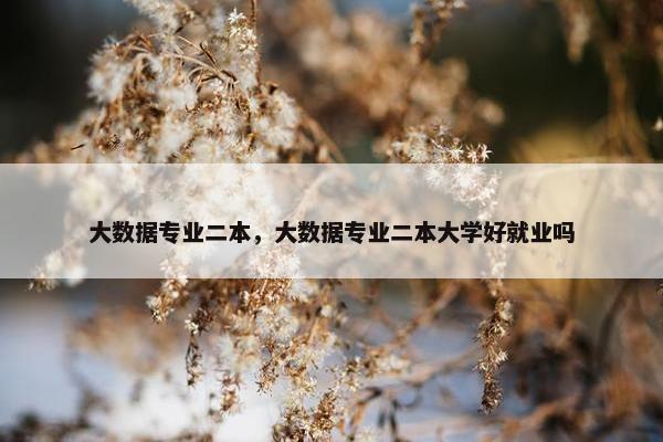 大数据专业二本，大数据专业二本大学好就业吗