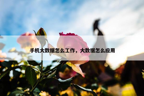 手机大数据怎么工作，大数据怎么应用