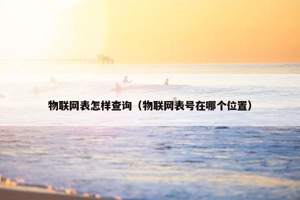 物联网表怎样查询（物联网表号在哪个位置）