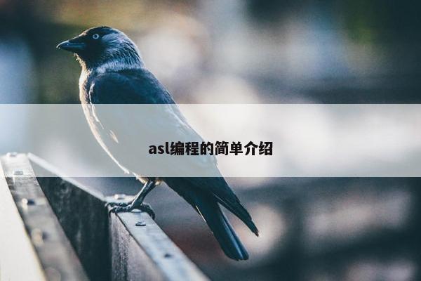 asl编程的简单介绍