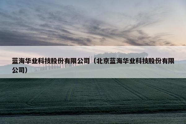蓝海华业科技股份有限公司（北京蓝海华业科技股份有限公司）