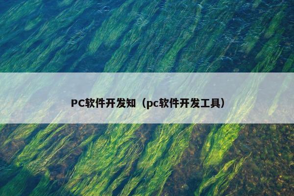 PC软件开发知（pc软件开发工具）