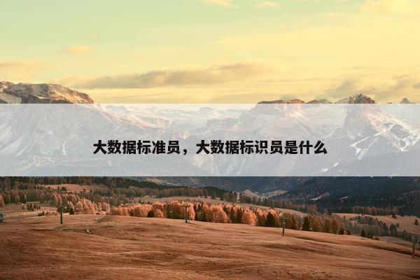 大数据标准员，大数据标识员是什么