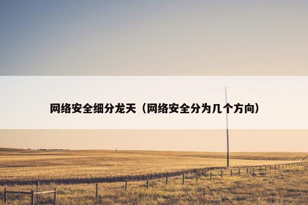 网络安全细分龙天（网络安全分为几个方向）