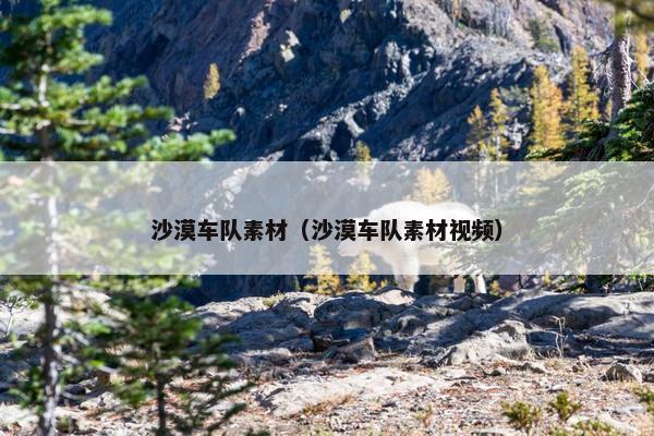 沙漠车队素材（沙漠车队素材视频）