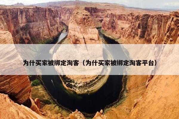 为什买家被绑定淘客（为什买家被绑定淘客平台）