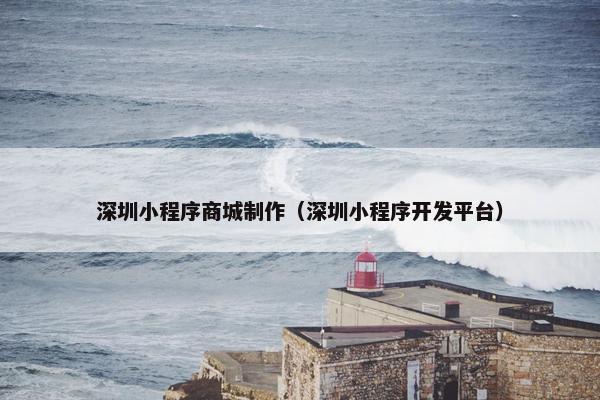 深圳小程序商城制作（深圳小程序开发平台）