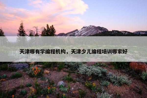 天津哪有学编程机构，天津少儿编程培训哪家好