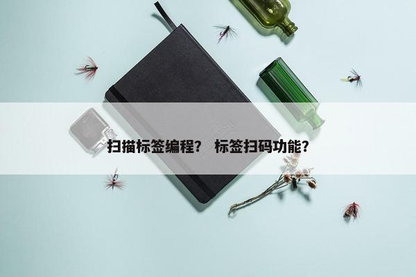 扫描标签编程？ 标签扫码功能？