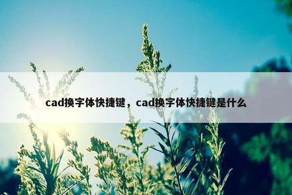 cad换字体快捷键，cad换字体快捷键是什么