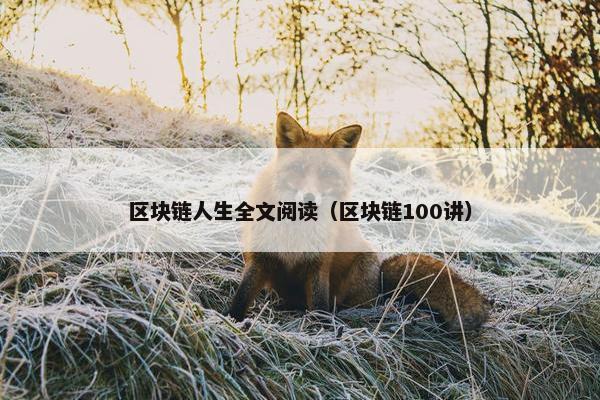 区块链人生全文阅读（区块链100讲）