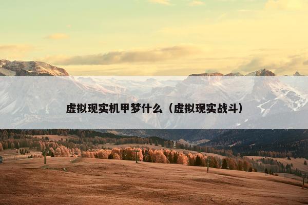 虚拟现实机甲梦什么（虚拟现实战斗）
