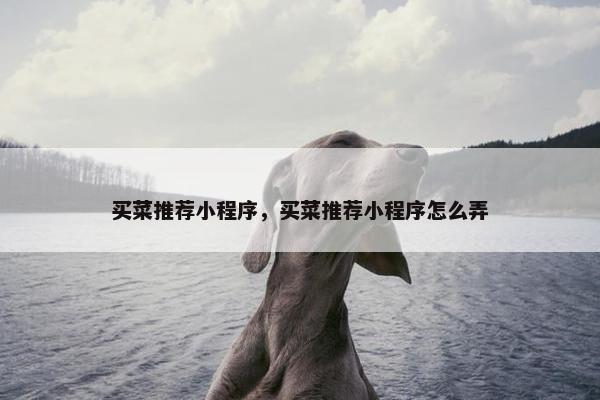 买菜推荐小程序，买菜推荐小程序怎么弄