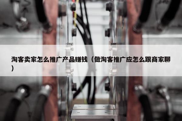 淘客卖家怎么推广产品赚钱（做淘客推广应怎么跟商家聊）