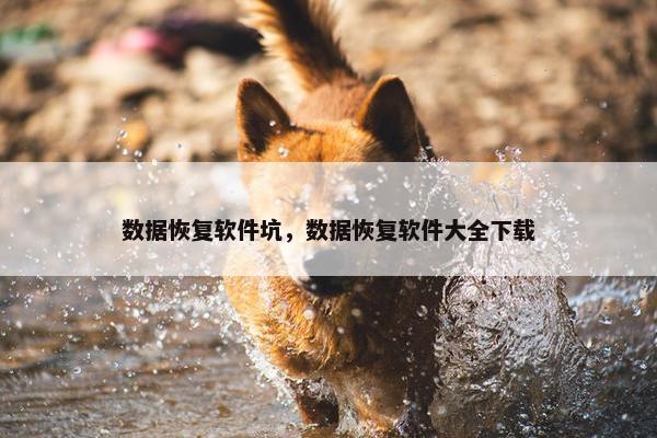 数据恢复软件坑，数据恢复软件大全下载