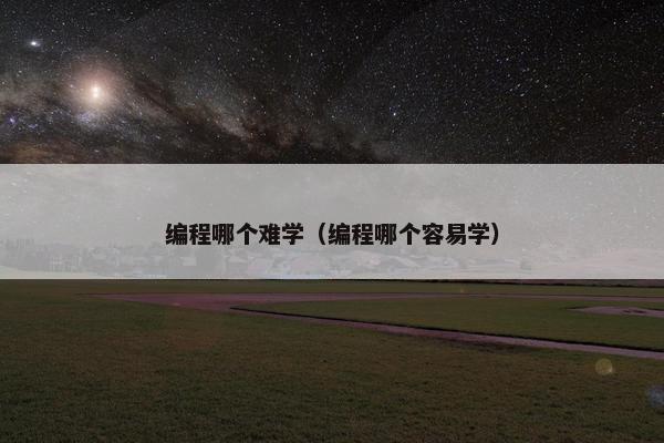 编程哪个难学（编程哪个容易学）