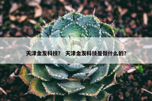 天津金发科技？ 天津金发科技是做什么的？