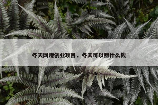 冬天网赚创业项目，冬天可以赚什么钱