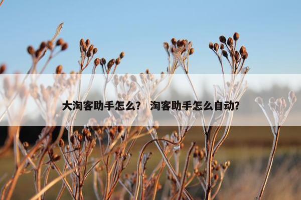 大淘客助手怎么？ 淘客助手怎么自动？
