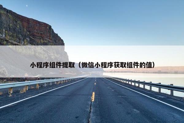 小程序组件提取（微信小程序获取组件的值）