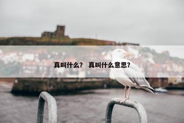 真叫什么？ 真叫什么意思？