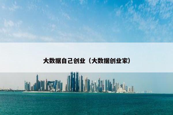 大数据自己创业（大数据创业家）