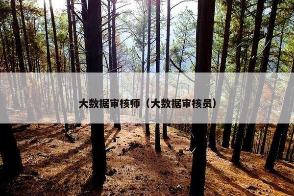 大数据审核师（大数据审核员）