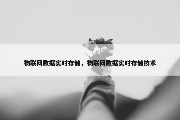 物联网数据实时存储，物联网数据实时存储技术