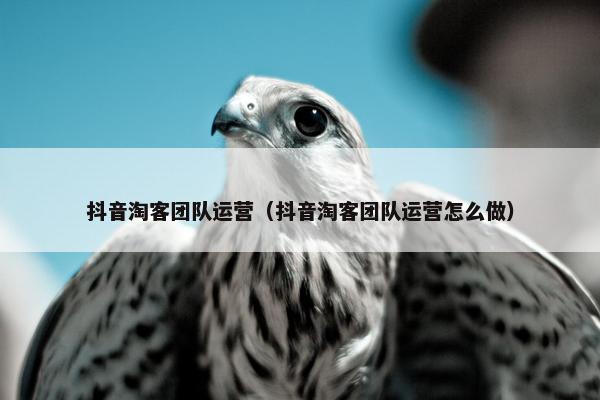 抖音淘客团队运营（抖音淘客团队运营怎么做）