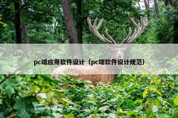 pc端应用软件设计（pc端软件设计规范）